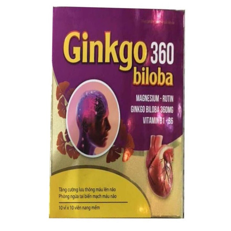 Ginkgo Biloba 360Mg Hộp 100 Viên - Phòng Ngừa Tai Biến