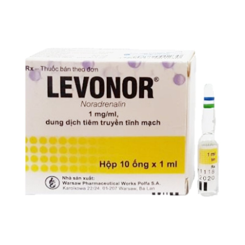Levonor 1ml Hộp 10 ống - Hạ huyết áp động mạch Levonor 1ml Hộp 10 ống - Hạ huyết áp động mạch
