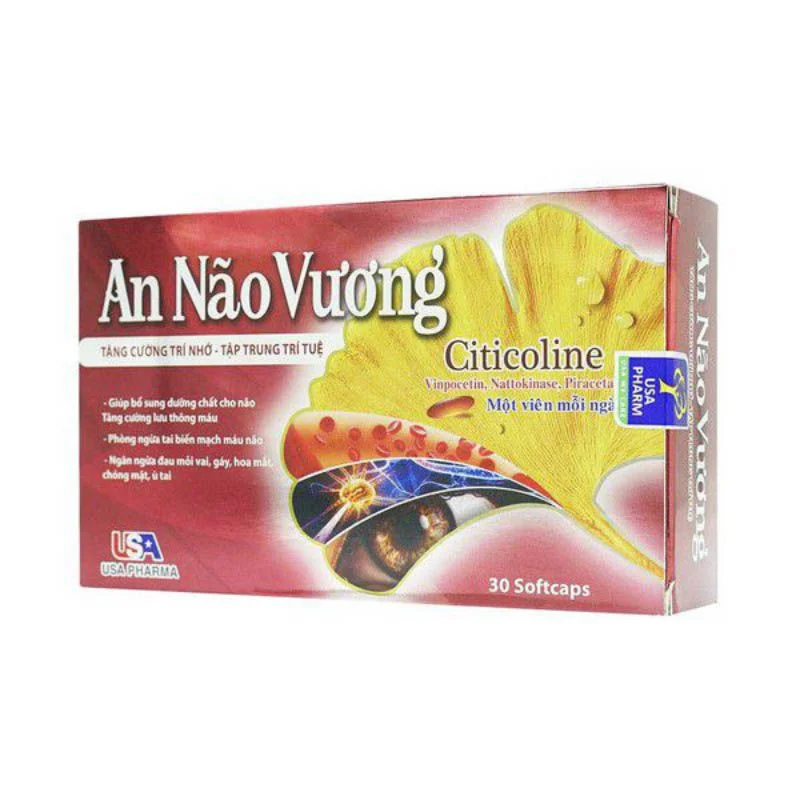 An Não Vương An Não Vương