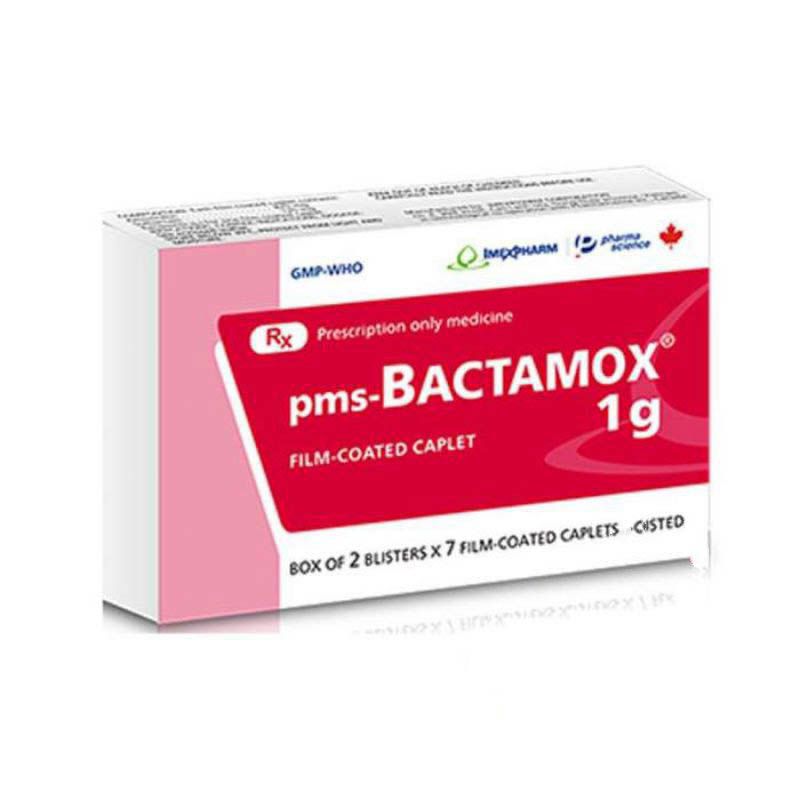 Bactamox 1G - Nhà Phân Phối Thuốc Chính Hãng
