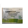 Gamincef 100Mg