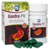 Gastro Pv 100 viên