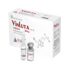 Vinluta 600 Hộp 1 Lọ + 1 Ống - Tăng Cường Hệ Miễn Dịch