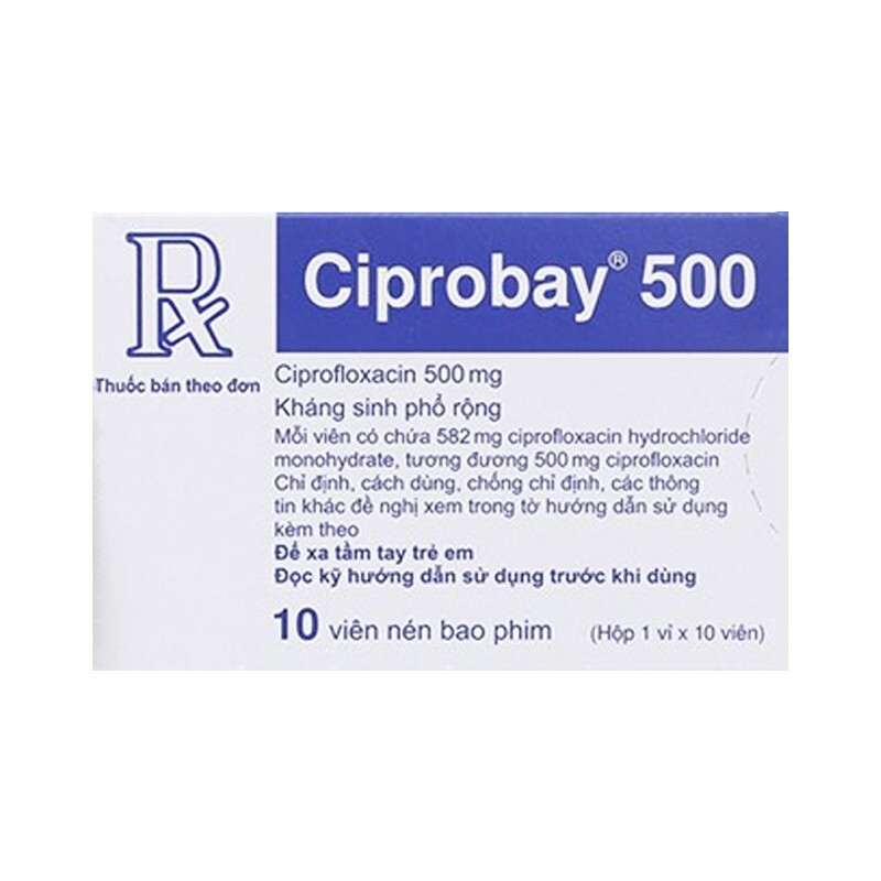 Ciprobay 500 Hộp 10 Viên – Thuốc Kháng Sinh
