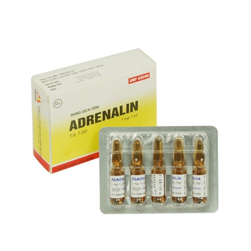 Adrenalin Hộp 10 Ống – Điều Trị Hen Phế Quản