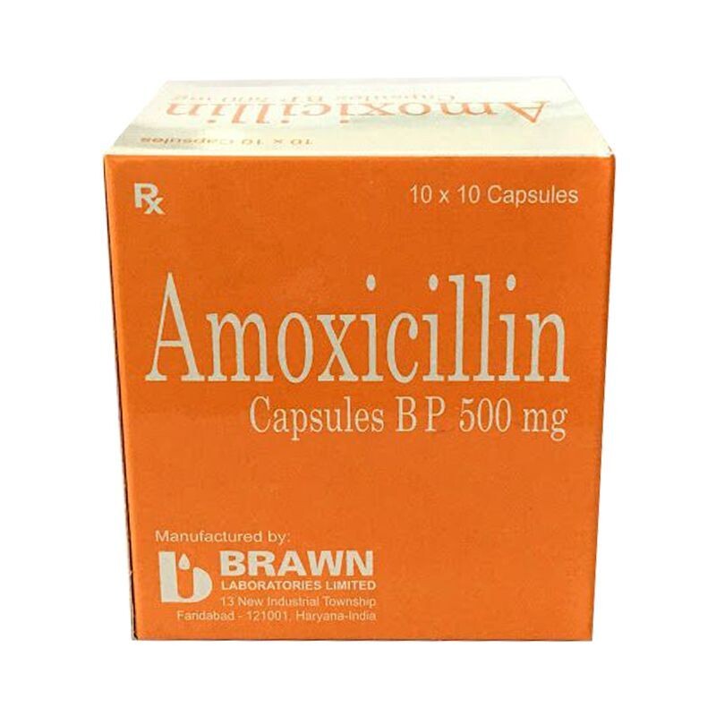 Amoxicillin Hộp 100 Viên – Thuốc Kháng Khuẩn