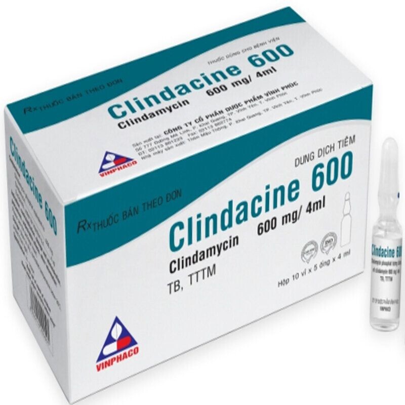 Clindacine Hộp 5 Ống – Điều Trị Nhiễm Trùng