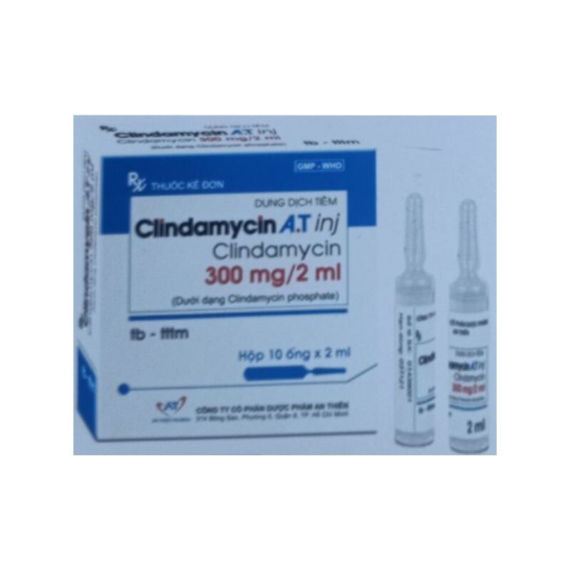 Clindamyxin Hộp 10 Ống – Điều Trị Nhiễm Khuẩn Nặng