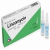 Lincomycin Hộp 10 Ống – Điều Trị Nhiễm Khuẩn Nặng