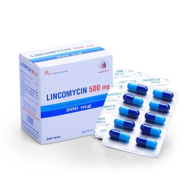 Lincomycin Hộp 200 Viên – Điều Trị Nhiễm Trùng, Nhiễm Khuẩn