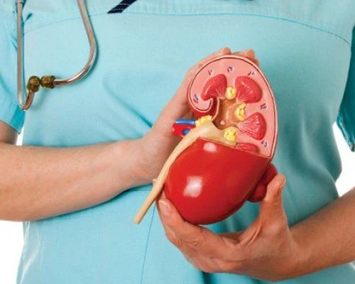 Người mắc bệnh về tuyến thượng thận gây ra tình trạng ăn không ngon