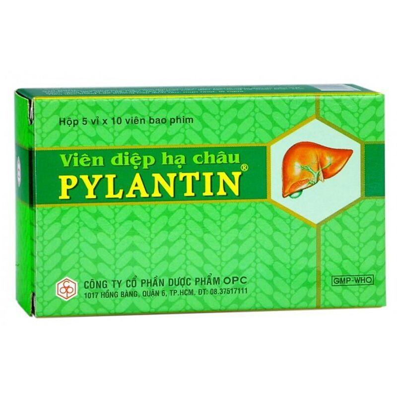 Viên diệp hạ châu Pylantin hộp 50 viên